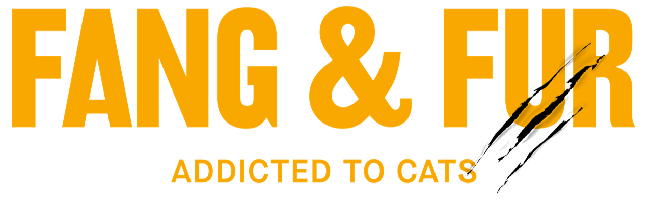 Winner small image - Fang & Fur